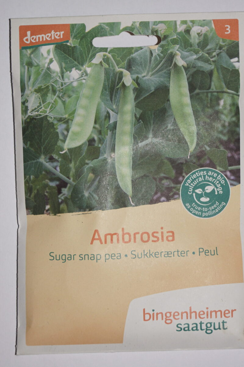 Ært-Sukkerært (Ambrosia) Økofrø fra bingenheimer. Mængde: frø til ca. 100 Planter - Image 2