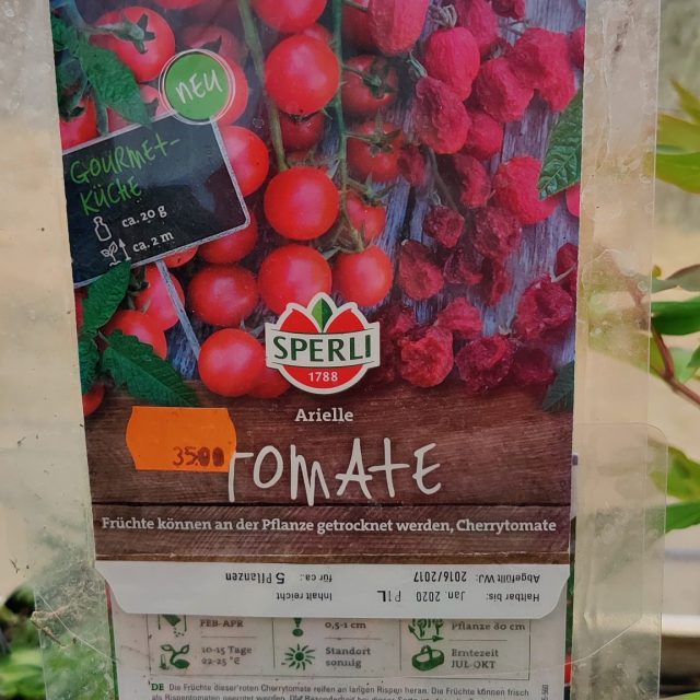 arirlle-tomat