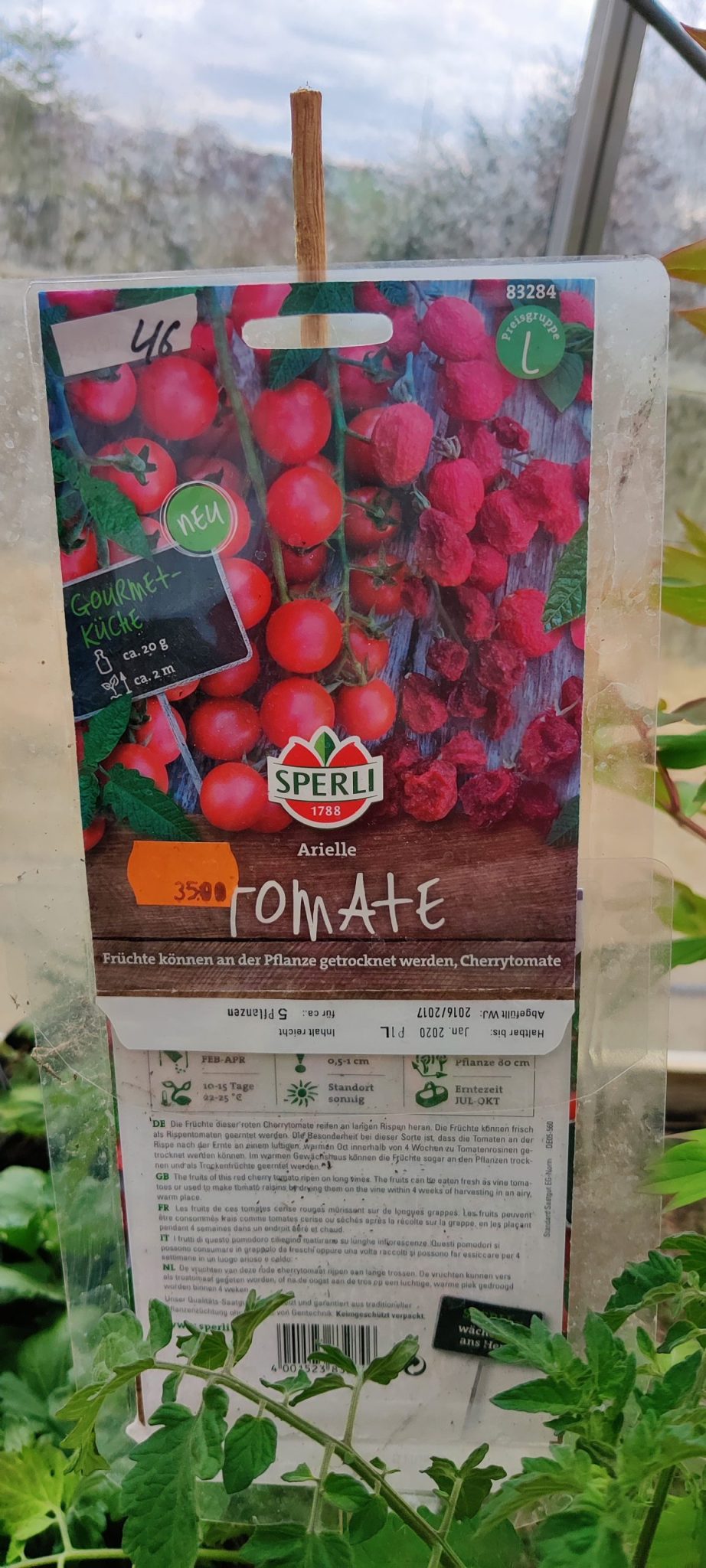 arirlle-tomat