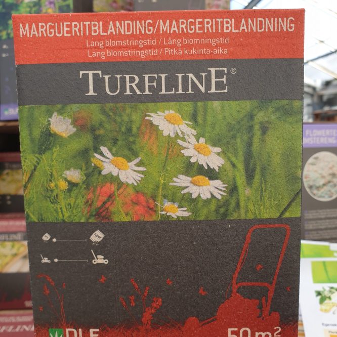 Turfline Margueritblanding
