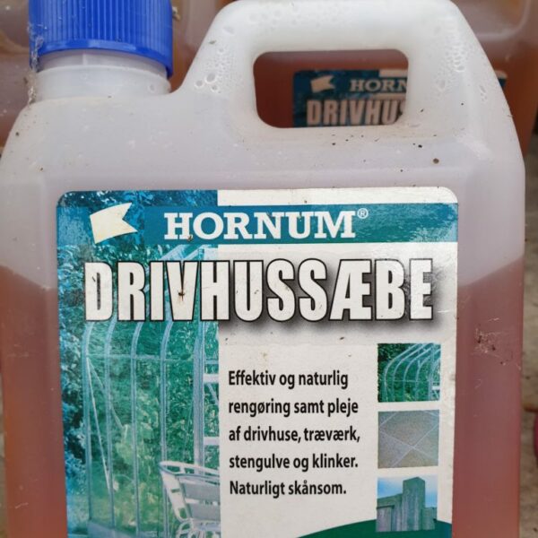 hornum-drivhussaebe