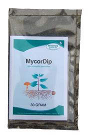 mycordip-mycorrhiza