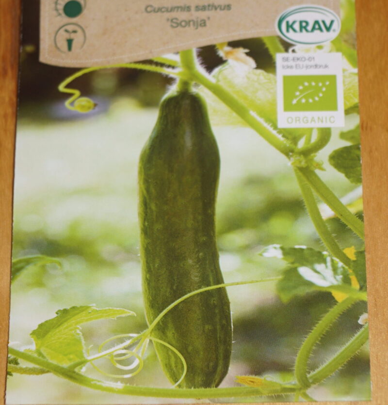 Agurk-Friland (Cucumis sativus 'Sonja')