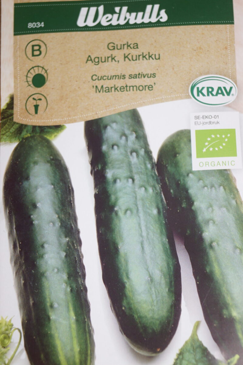 Agurk-Krukker,Drivhus og Drivbænk (Cucumis sativus 'Marketmore')