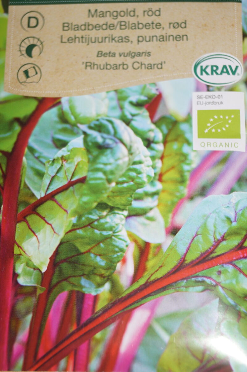 Bladbede-rød (Beta vulgaris 'Rhubarb Chard')