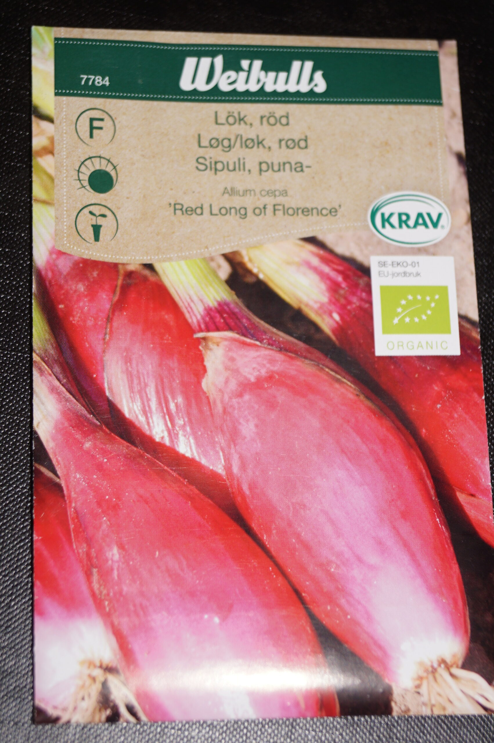 Løg-Bananløg (Allium cepa ‘Red Long of Florence) Mængde: 1,3 gram