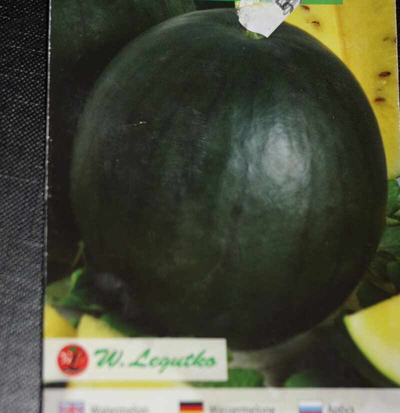 Melon-Vandmelon Gul Frugtkød (Citrullus lanatus 'Janosik') Mængde: 0,5 gram
