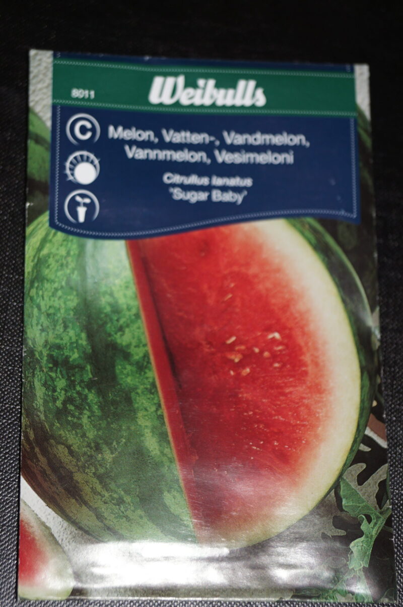 Melon-Vandmelon (Citrullus lanatus 'Sugar Baby') Mængde: 0,7 gram