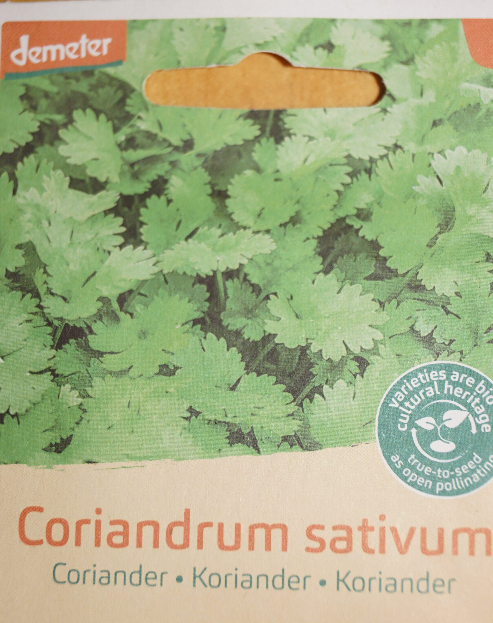 Koriander (Coriandrum sativum) Økofrø fra bingenheimer. Mængde: frø til ca. 5 m²