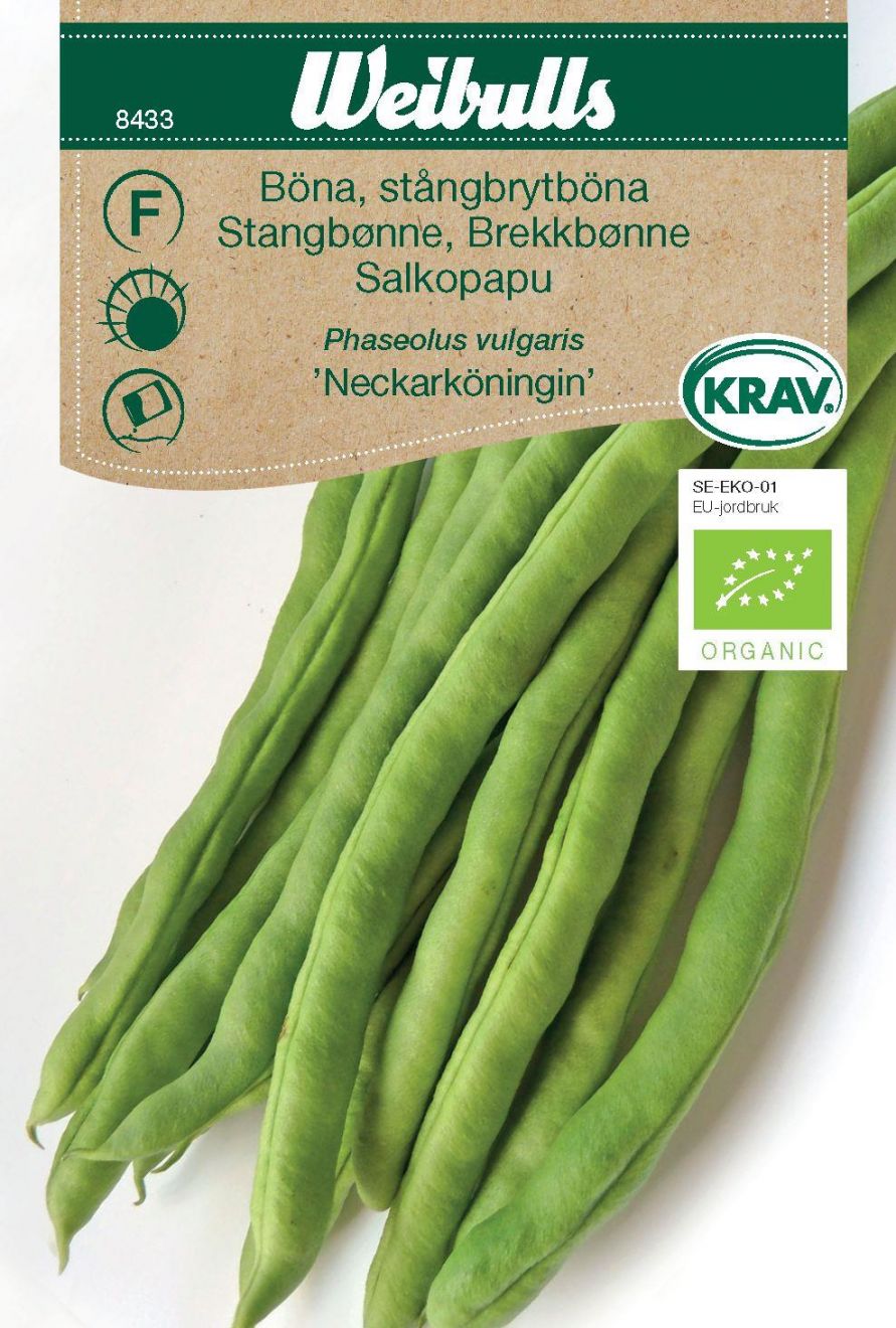 Bønne-Stangbønne (Phaseolus vulgaris Neckarköningin) Mængde 9,2 Gram