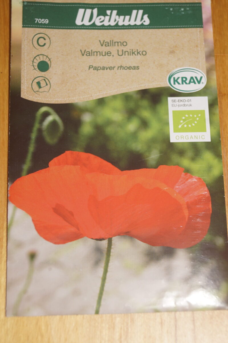 Valmue (Papaver rhoeas)