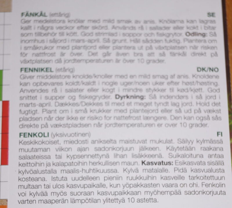 Fennikel (Geant mammouth perfection) - Image 2