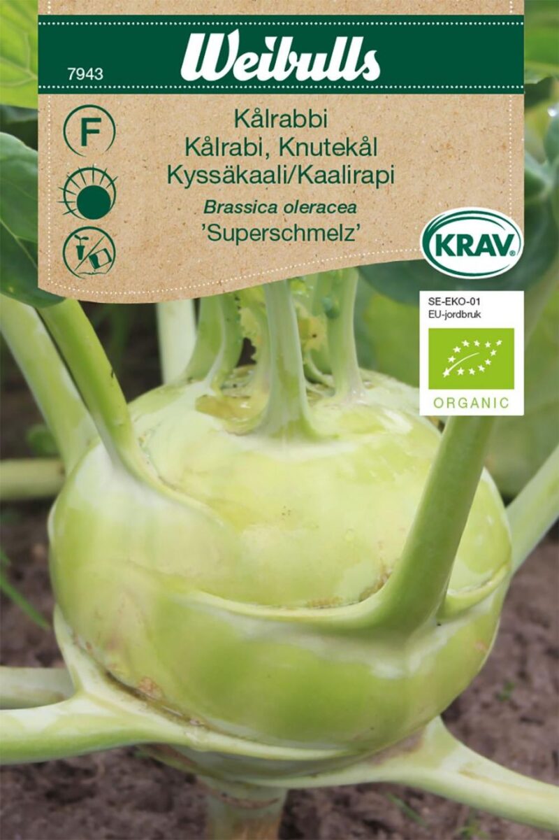 Glaskål (Brassica oleracea 'Superschmelz')