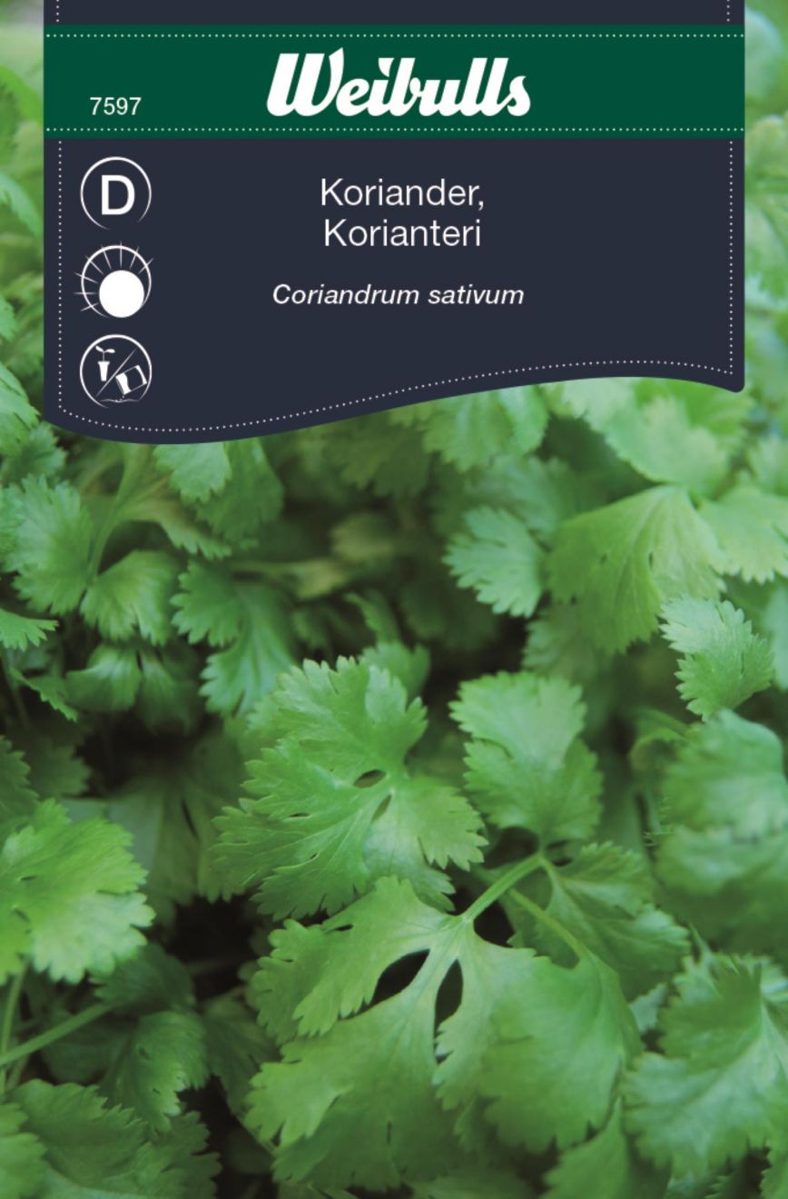 Koriander (Coriandrum sativum) Mængde: 2 gram