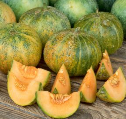 Melon-Sukker Melon (Petit Gris de Rennes) Økofrø fra bingenheimer. Mængde: frø til ca. 12 Planter