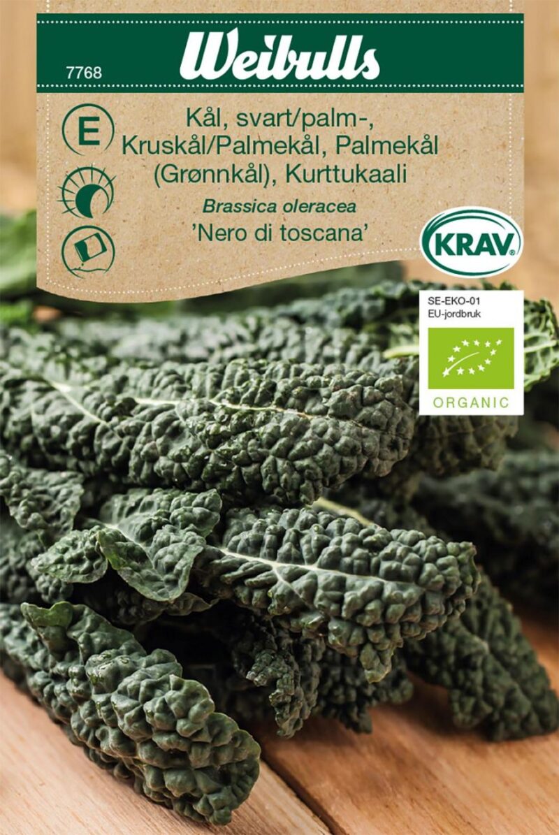 Palmekål (Brassica oleracea 'Nero De Toscana')