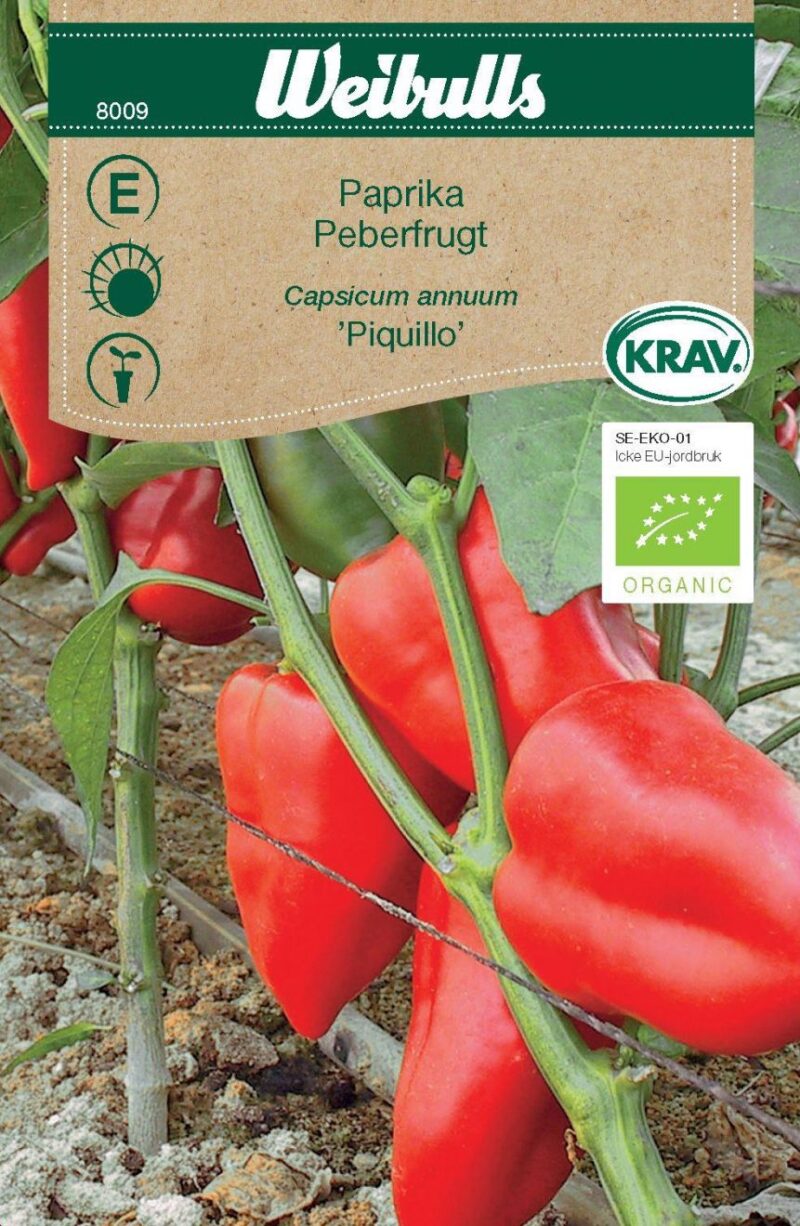 Peberfrugt Piquillo (Capsicum annuum 'Piquillo')