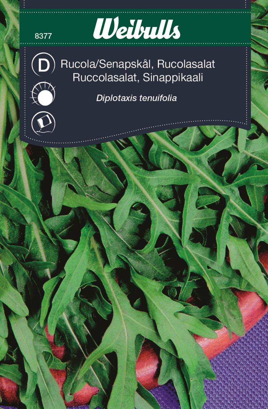 Salat-Rucola Vild (Diplotaxis tenuifolia) Mængde 1 gram
