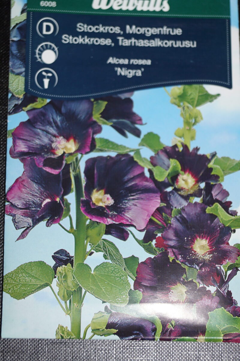 Stokrose Sort(Alcea rosea 'Nigra') Mængde: ca. 45 Frø
