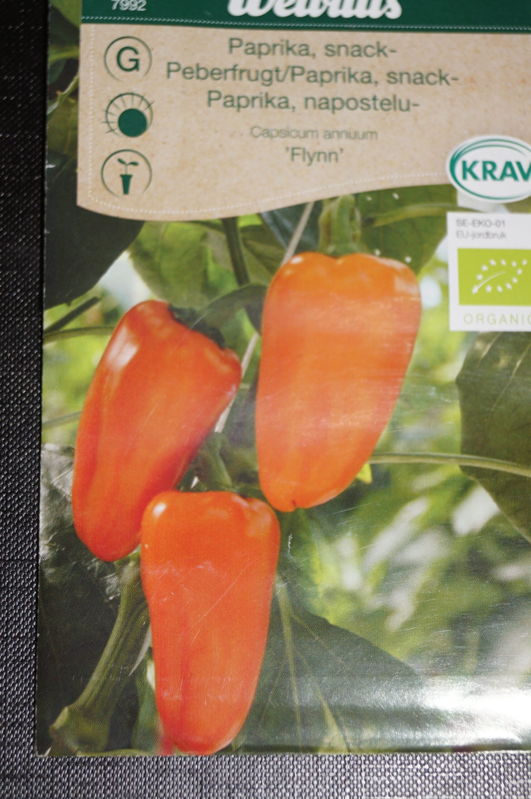 Peber Snack-Paprika (Capsicum annuum ‘Flynn’) Mængde: ca. 6 Frø