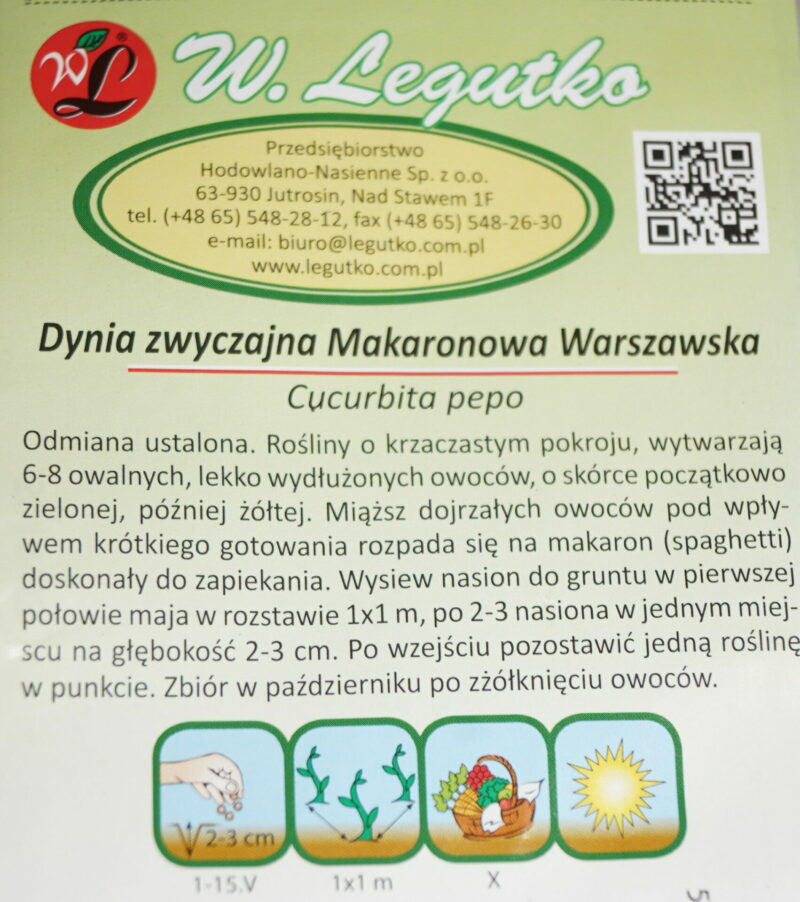 Spaghettisquash-Spaghettigræskar (Cucurbita pepo 'Makaronowa Warszawska') Mængde: ca. 2 Gram - Image 2