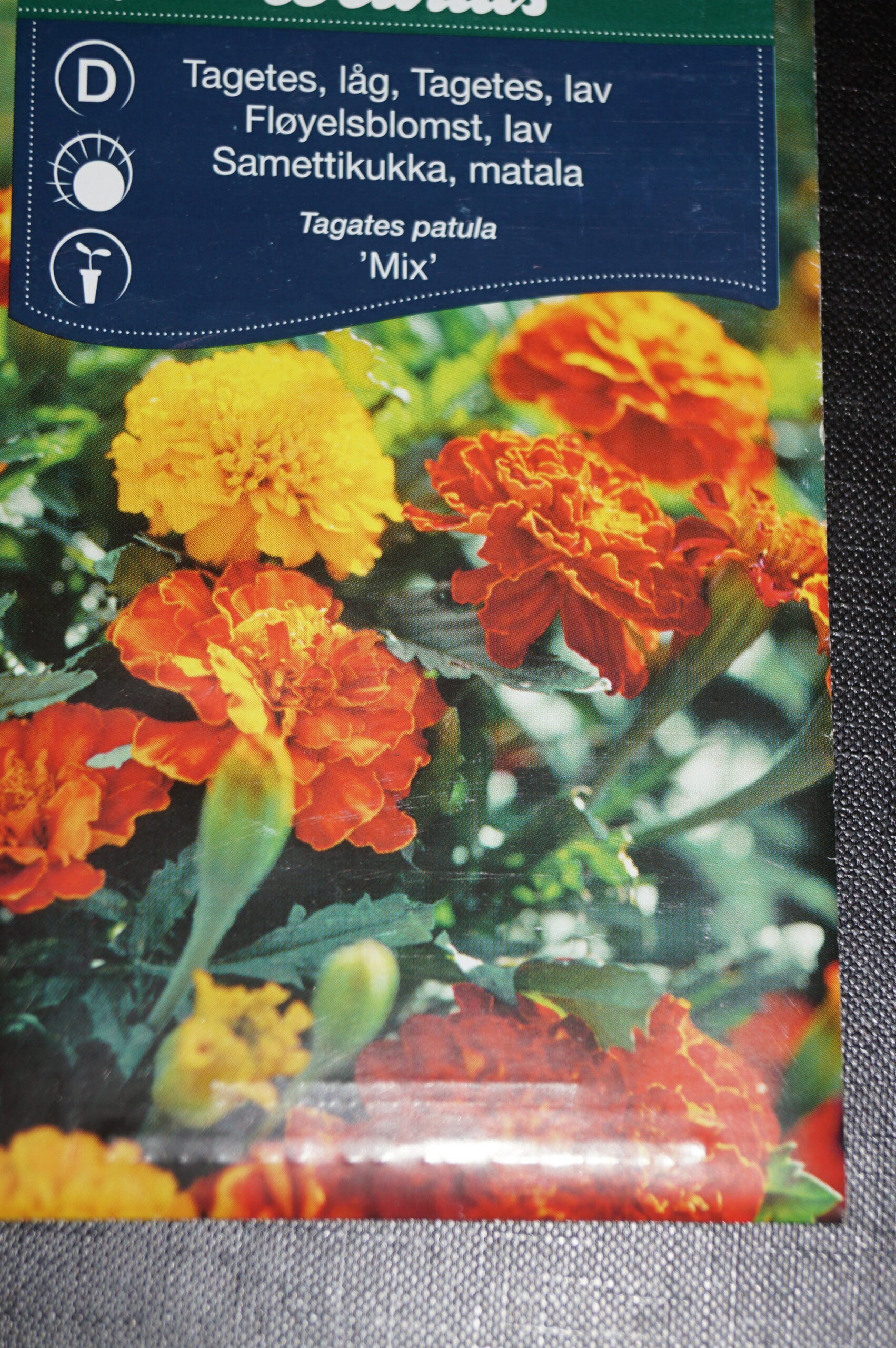 Tagetes-Fløjlsblomst Lav (Tagetes patula ‘Mix’) Mængde: ca. 30 Frø