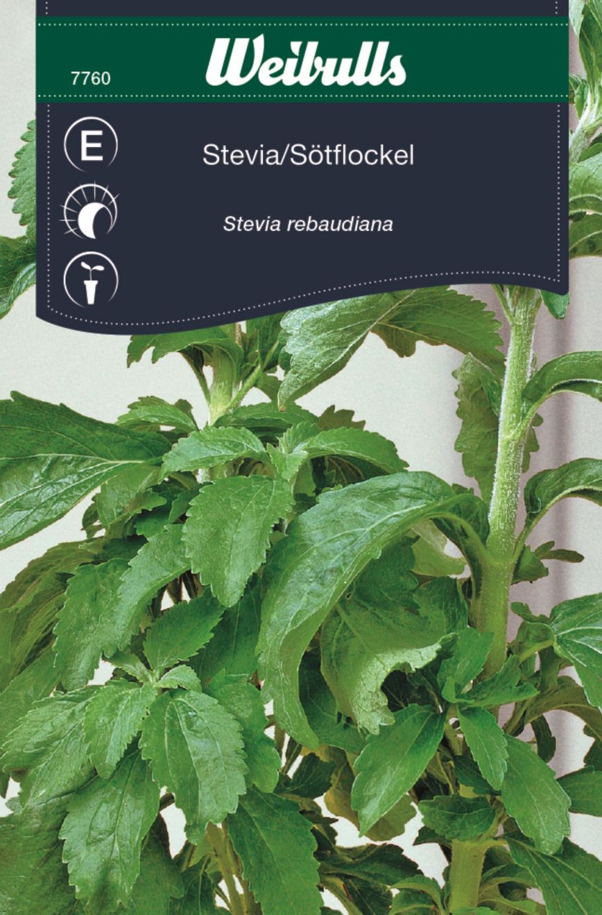 Stevia (Stevia rebaudiana) Mængde: til ca 10 planter