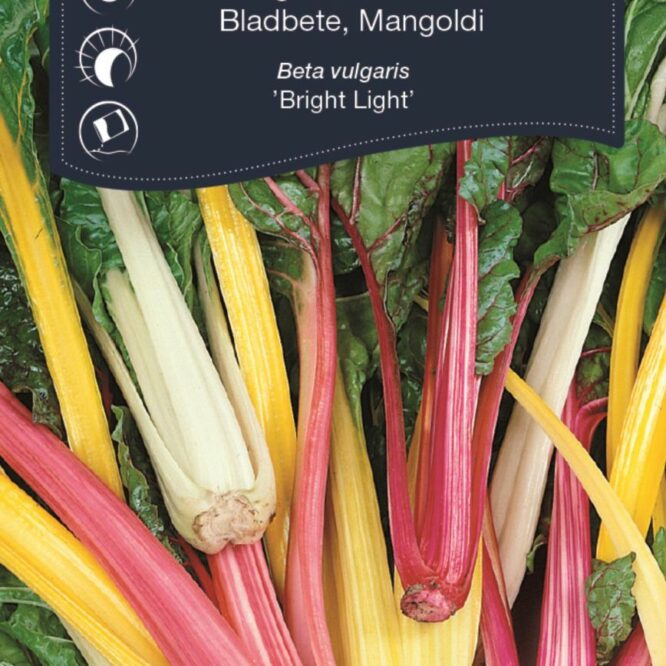 Weibulls Bladbede Bright Light (Beta vulgaris Bright Light)