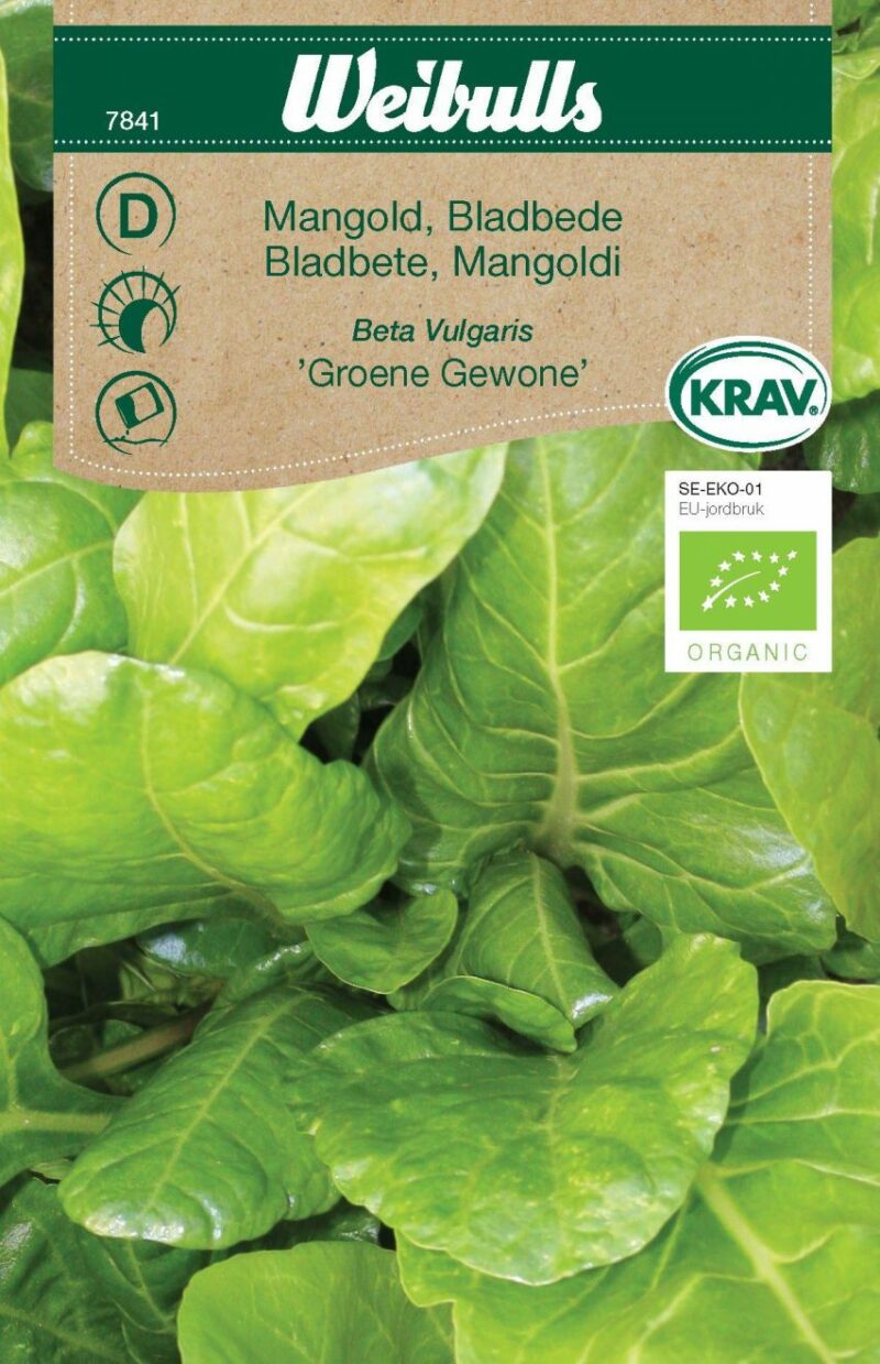 Weibulls Bladbede Groene Gewone, Hvid (Beta vulgaris Groene Gewone)