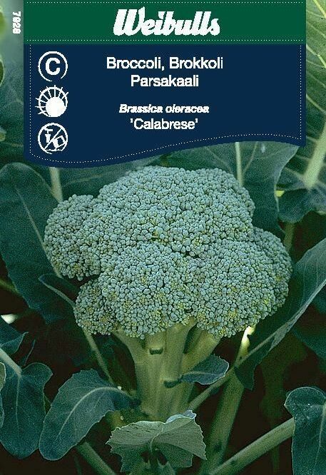 Weibulls Broccoli Calabrese (Brassica oleracea Calabrese)