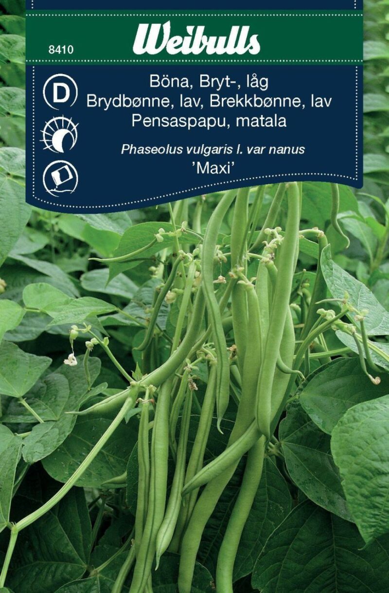 Weibulls Brydbønne Maxi (Phaseolus vulgaris l. var nanus Maxi)