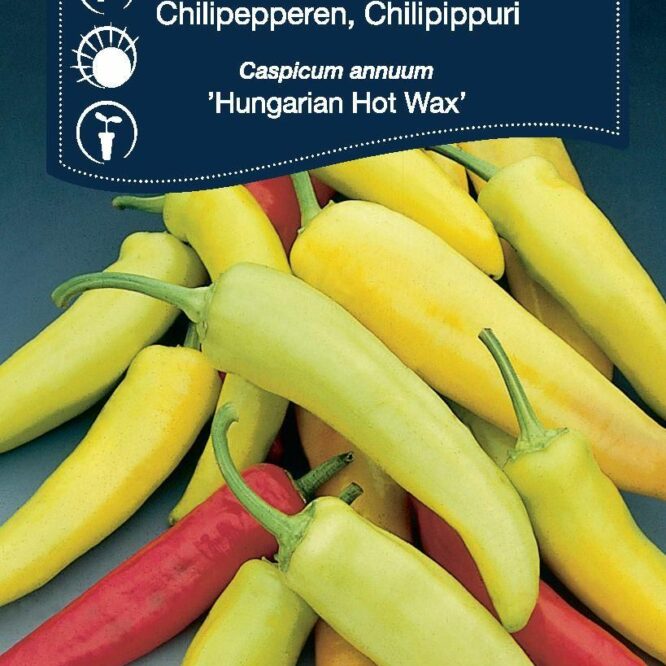 Weibulls Chili Hungarian Hot Wax (Capsicum annuum Hungarian Hot Wax)