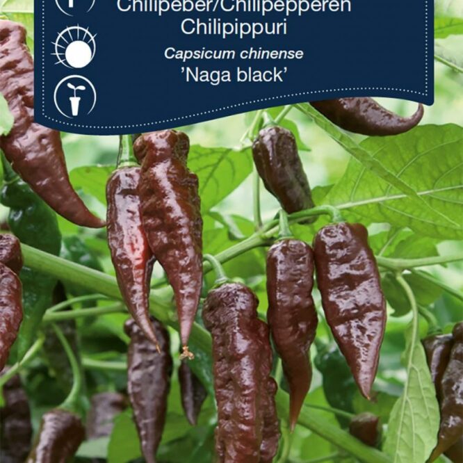 Weibulls Chili Naga Black (Capsicum Chinense Naga Black)