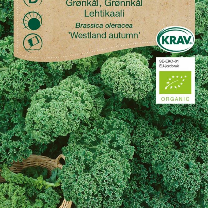 Weibulls Grønkål Westland Autumn (Brassica oleracea Westland Autumn)