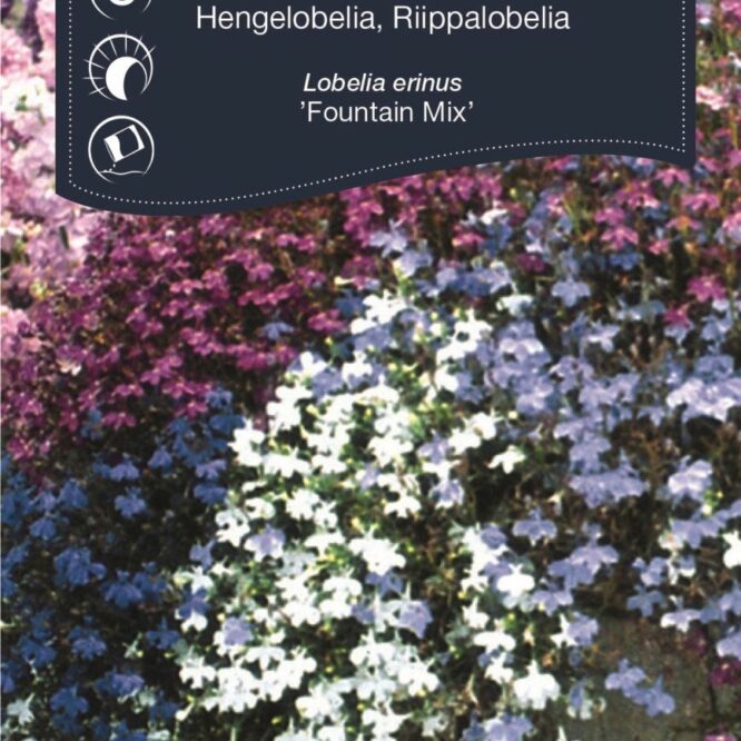 Weibulls Hængelobelia Fountain Mix (Lobelia erinus Fountain Mix)