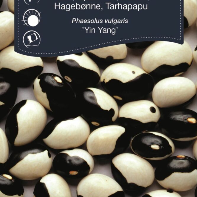 Weibulls Hagebønne Yin Yang (Phaseolus vulgaris Yin Yang)