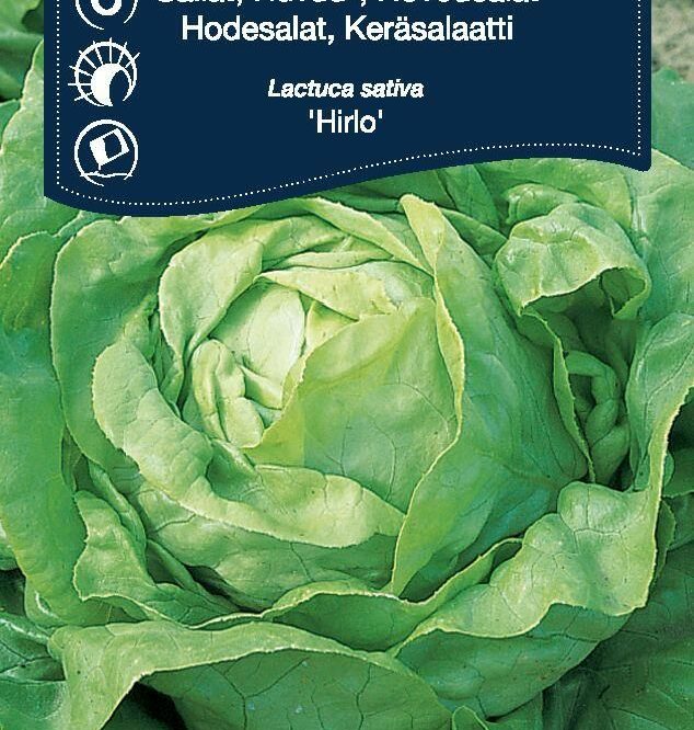 Weibulls Hovedsalat Hirlo (Lactuca sativa Hirlo)