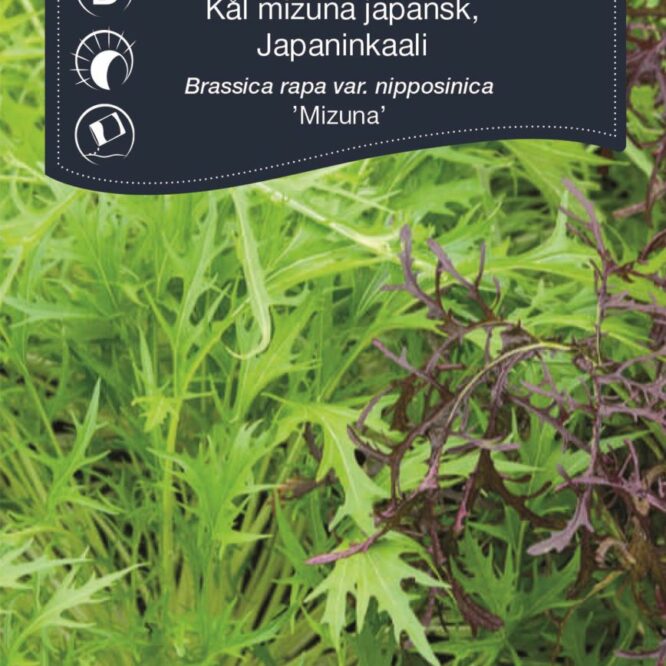 Weibulls Japansk Kål Mizuna (Brassica rapa var. nipposinica Mizuna)