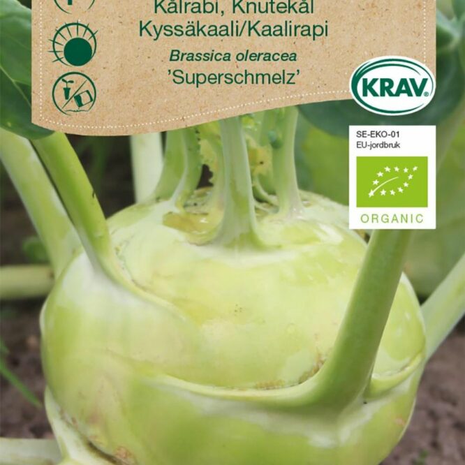 Weibulls Kålrabi Superschmelz (Brassica oleracea Superschmelz)