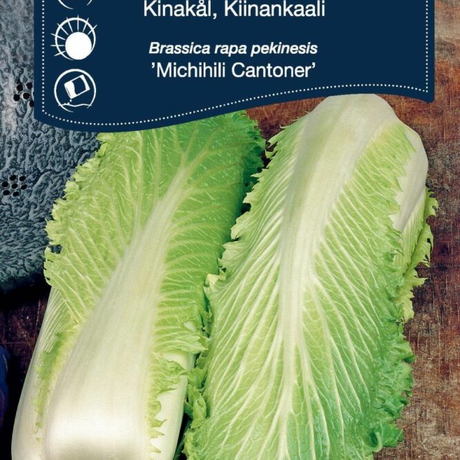 Weibulls Kinakål Michili Cantoner (Brassica rapa pekinesis Michili Cantoner)