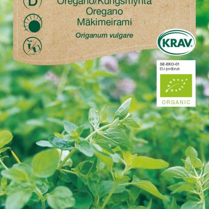 Weibulls Oregano (Origanum vulgare)