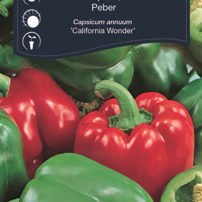 Weibulls Peberfrugt California Wonder (Capsicum annuum California Wonder)