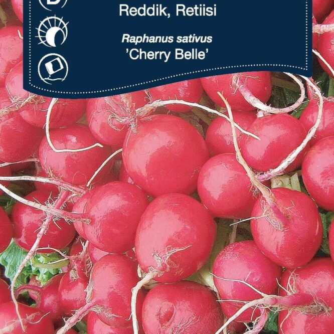 Weibulls Radise Cherry Belle (Raphanus sativus Cherry Belle)