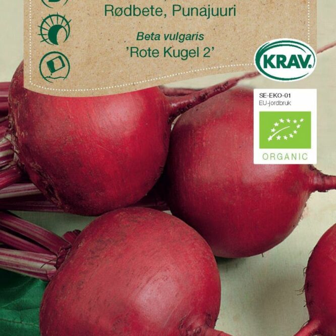 Weibulls Rødbede Rote Kugel 2 (Beta vulgaris Rote Kugel 2)