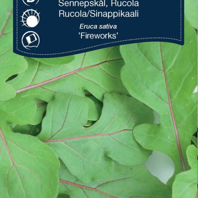 Weibulls Rucola Fireworks (Eruca sativa Fireworks)