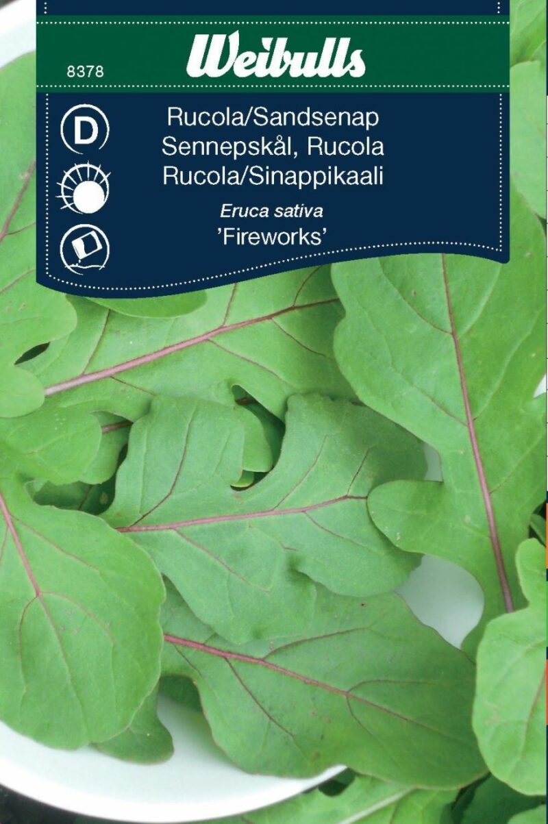 Weibulls Rucola Fireworks (Eruca sativa Fireworks)