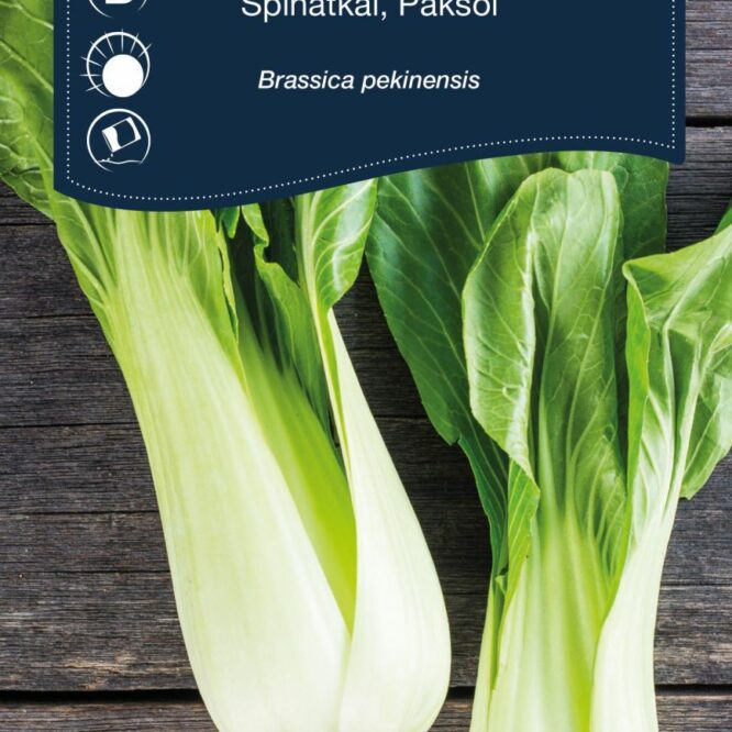 Weibulls Spinatkål (Brassica rapa)
