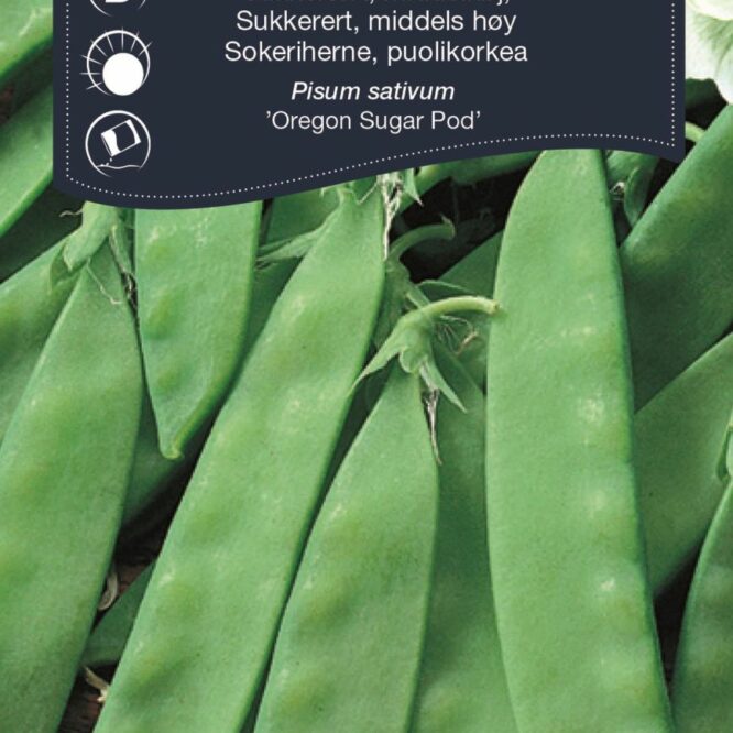 Weibulls Sukkerært Oregon Sugar Pod (Pisum sativum Oregon Sugar Pod)