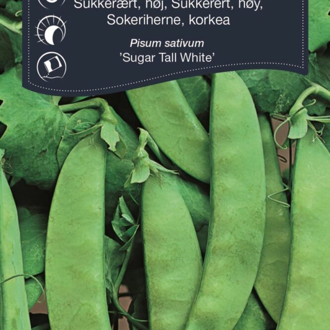 Weibulls Sukkerært Sugar Tall White (Pisum sativum Sugar Tall White)