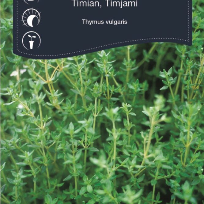Weibulls Timian (Thymus vulgaris)